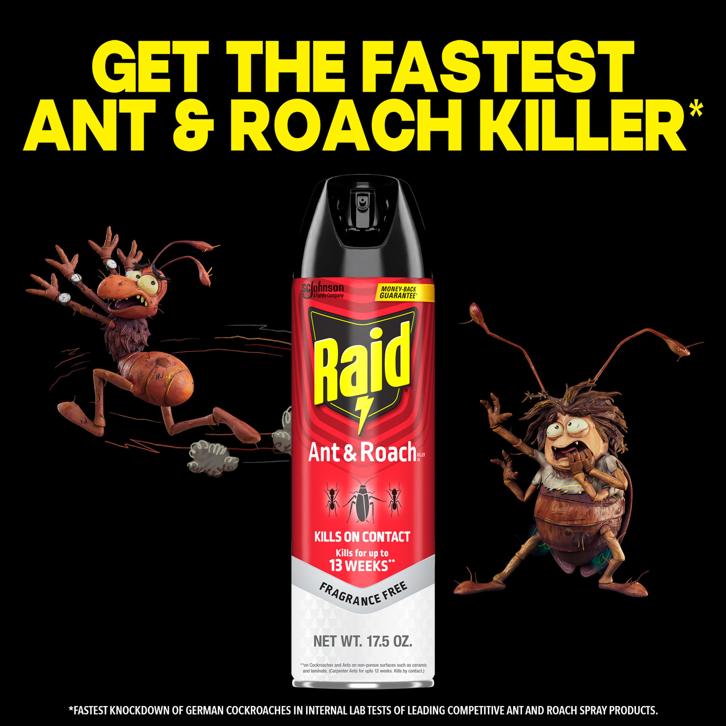 Raid Ant & Roach Killer 26