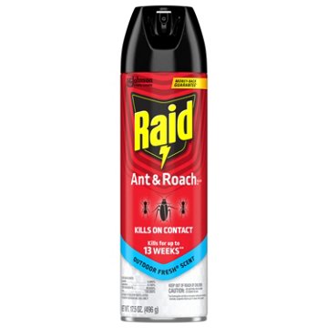 Raid Ant & Roach Killer 26 - Outdoor Fresh