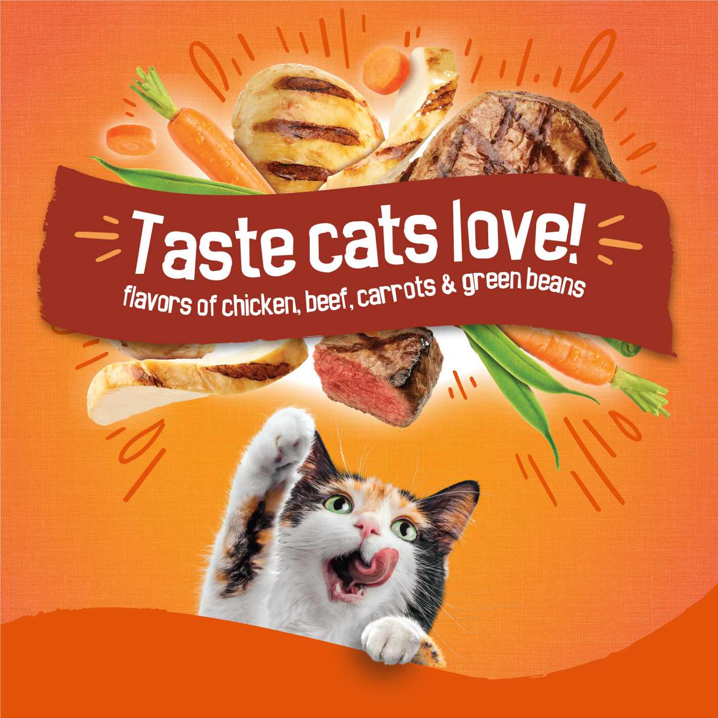 Friskies Purina Friskies Dry Cat Food, Tender & Crunchy Combo Shop