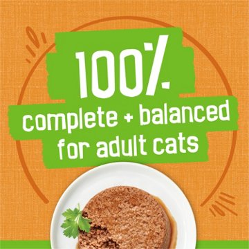 Friskies Purina Wet Cat Food Pate - Liver and Chicken Dinner