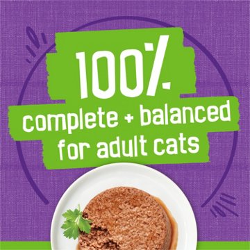 Friskies Purina Wet Cat Food Pate - Turkey and Giblets Dinner