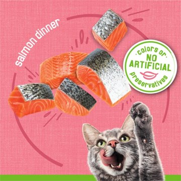 Friskies Purina Wet Cat Food Pate - Pate Salmon Dinner