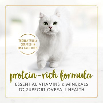 Fancy Feast Purina Pate Classic Grain Free Wet Cat Food Pate - Turkey and Giblets Feast