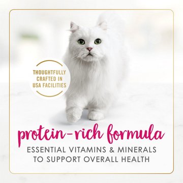 Fancy Feast Purina Classic Grain Free Wet Cat Food Pate - Chicken Feast