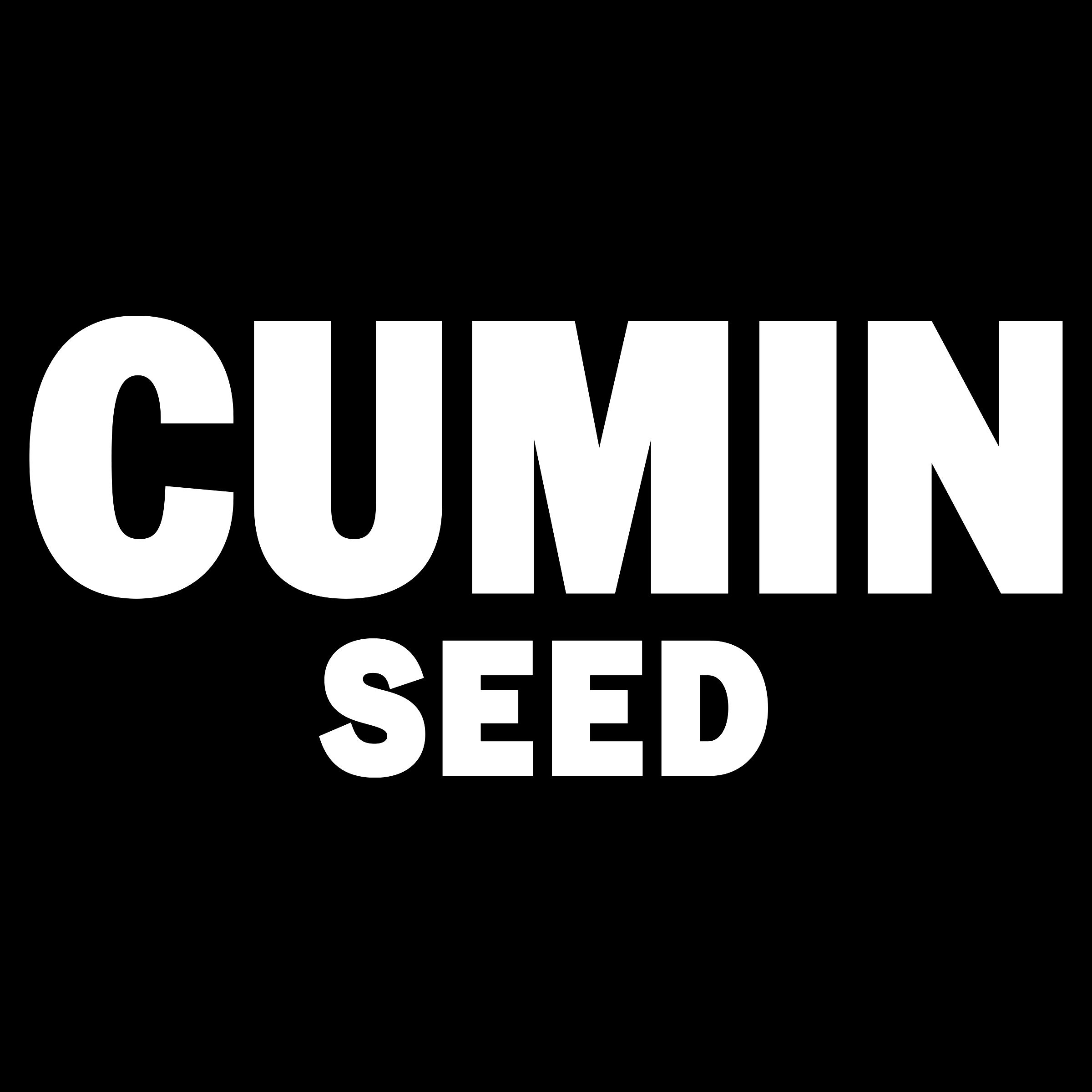 McCormick® Cumin Seed