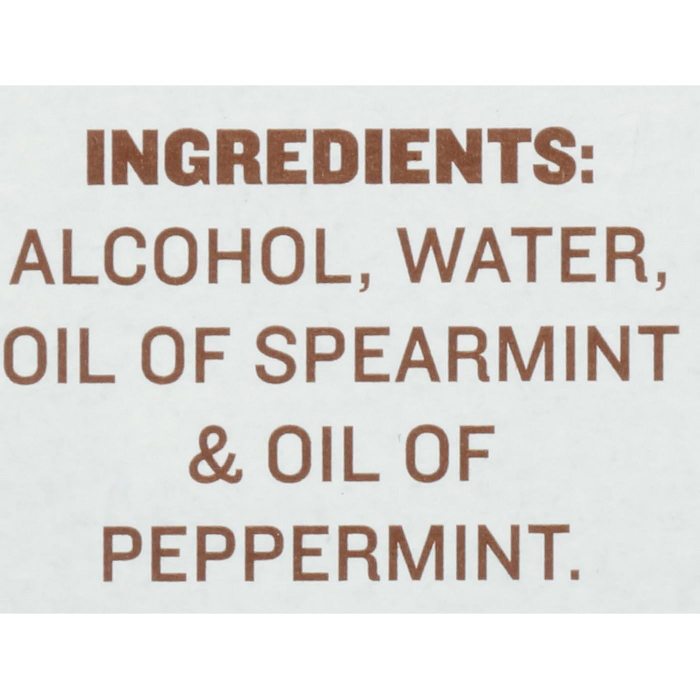 McCormick Pure Mint Extract; image 2 of 8