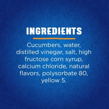 Vlasic Ovals Hamburger Dill Chips, 16 oz