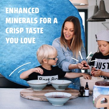 Pure Life Purified Water 12 pk Bottles, 16.9 oz