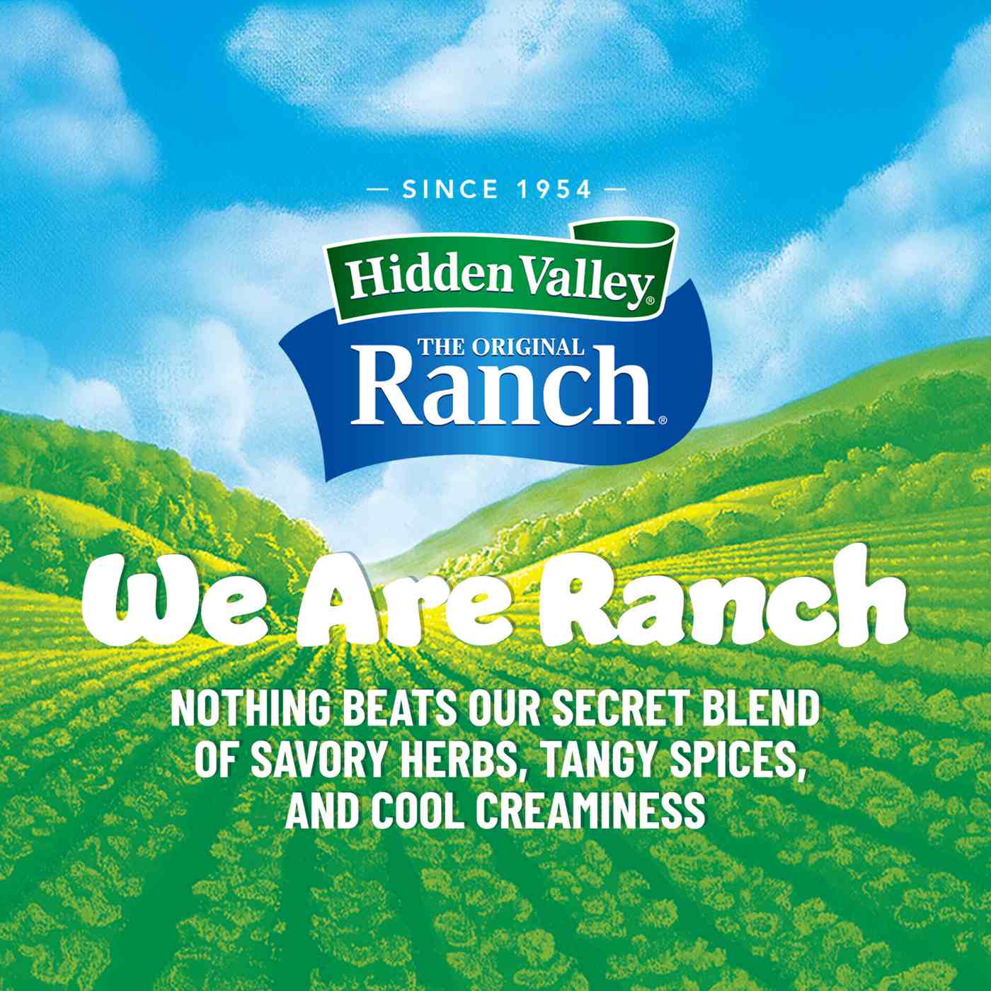 Hidden Valley Original Ranch Salad Dressing & Seasoning Mix; image 2 of 5