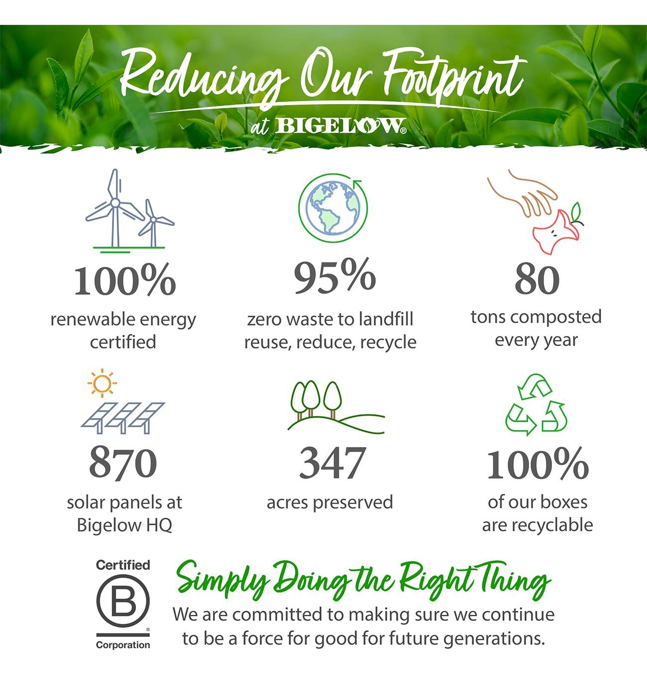 Bigelow Constant Comment Flavored with Rind of Oranges and Sweet Spice Tea Bags Value Pack; image 2 of 7