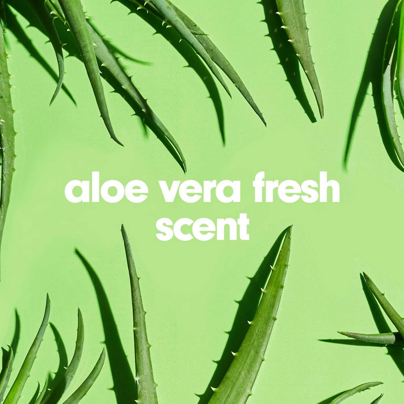 Softsoap Soothing Clean Moisturizing Hand Soap - Aloe Vera; image 2 of 15