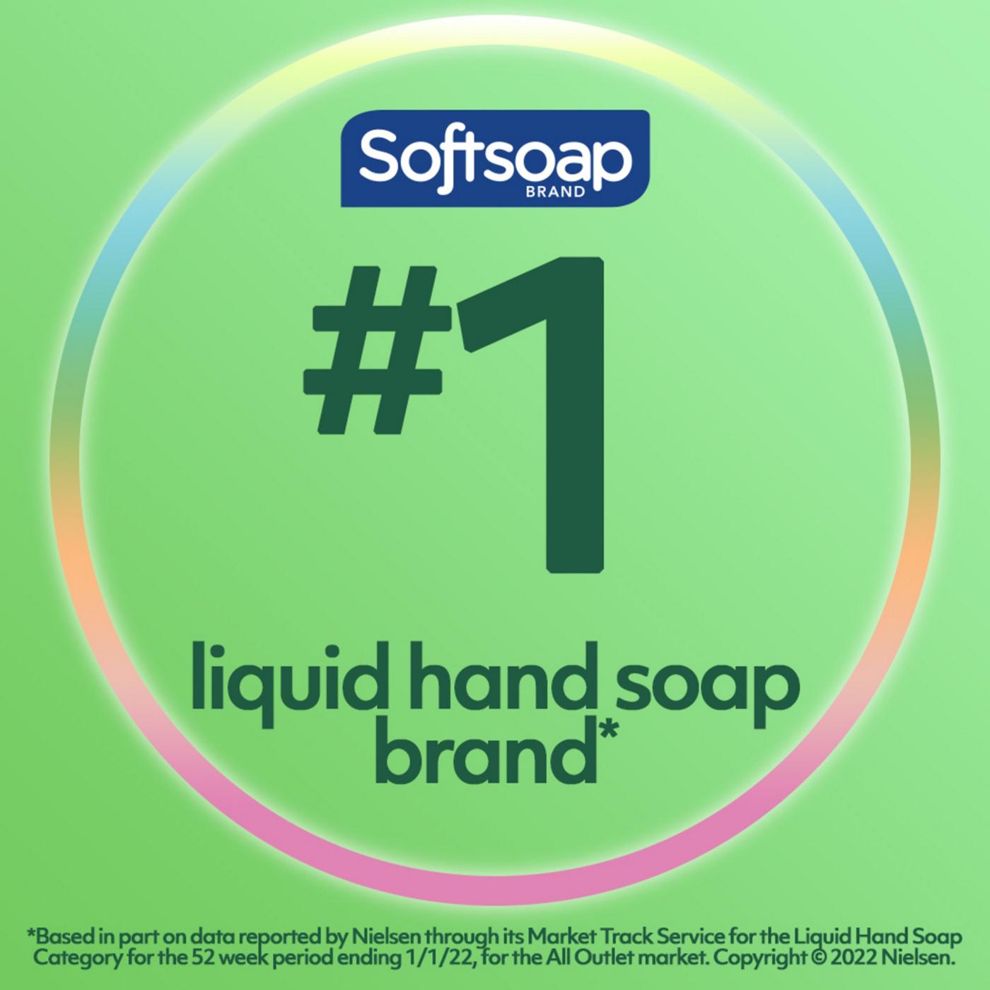 Softsoap Soothing Clean Moisturizing Hand Soap - Aloe Vera; image 3 of 8