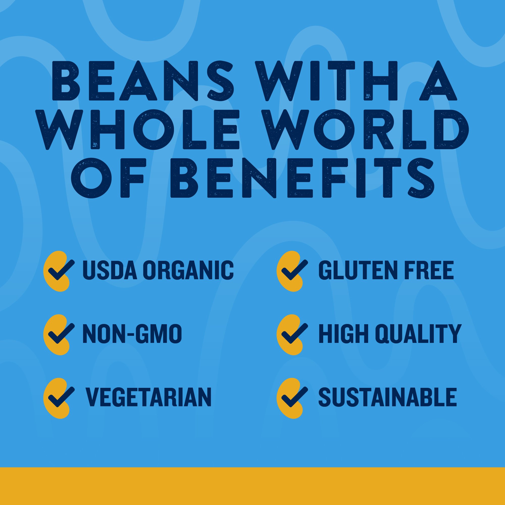 Westbrae Natural Organic No Salt Added Black Beans - Shop Beans