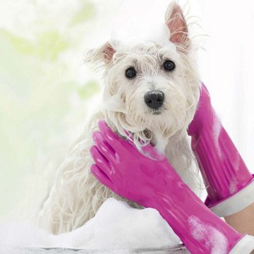 O-Cedar Playtex Living Gloves, Fuchsia (Medium)
