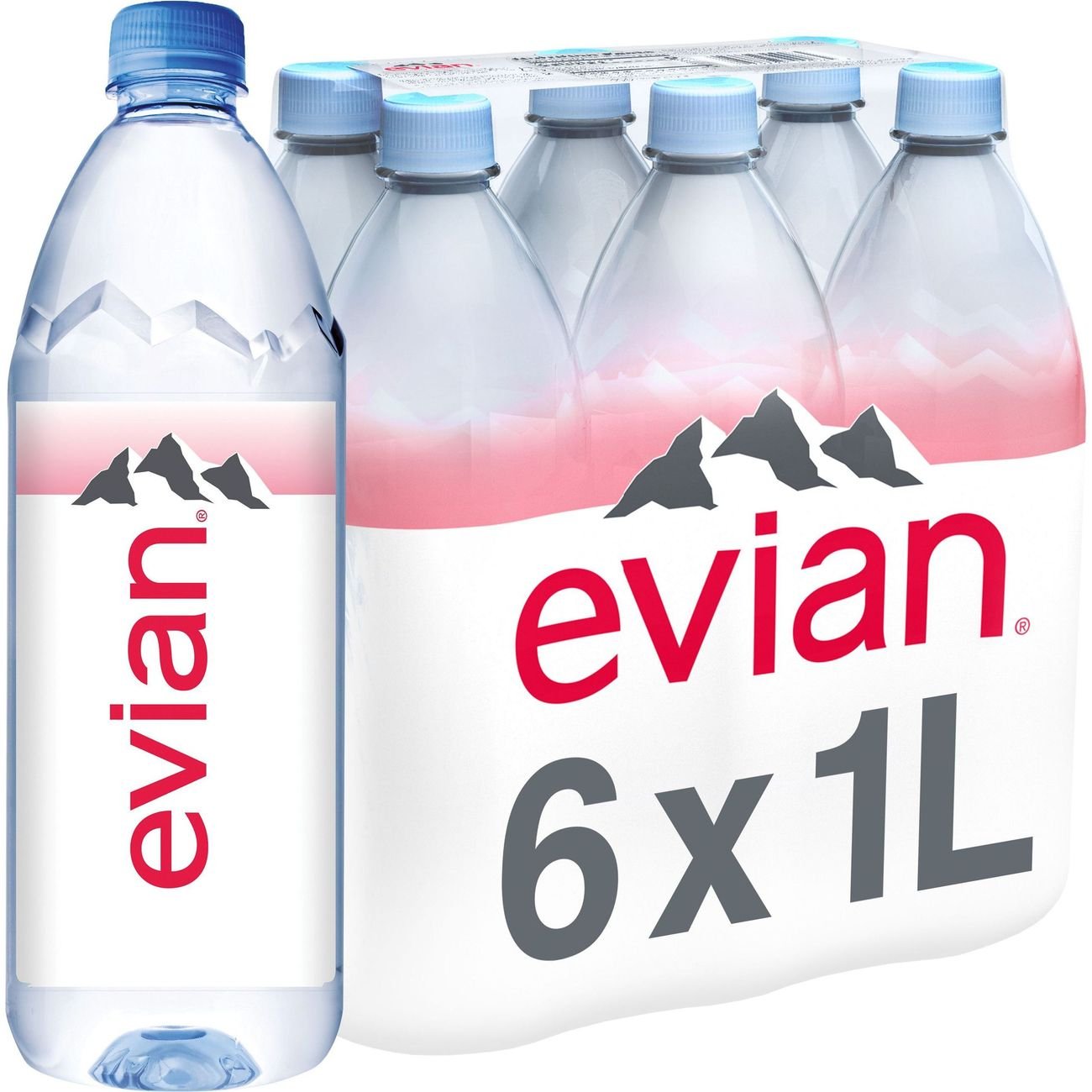 Evian Natural Spring Water 1 L Bottles Shop Water at HEB