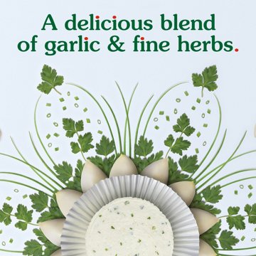 Boursin Gourmet Cheese Spread - Garlic & Fine Herbs, 5.3 oz