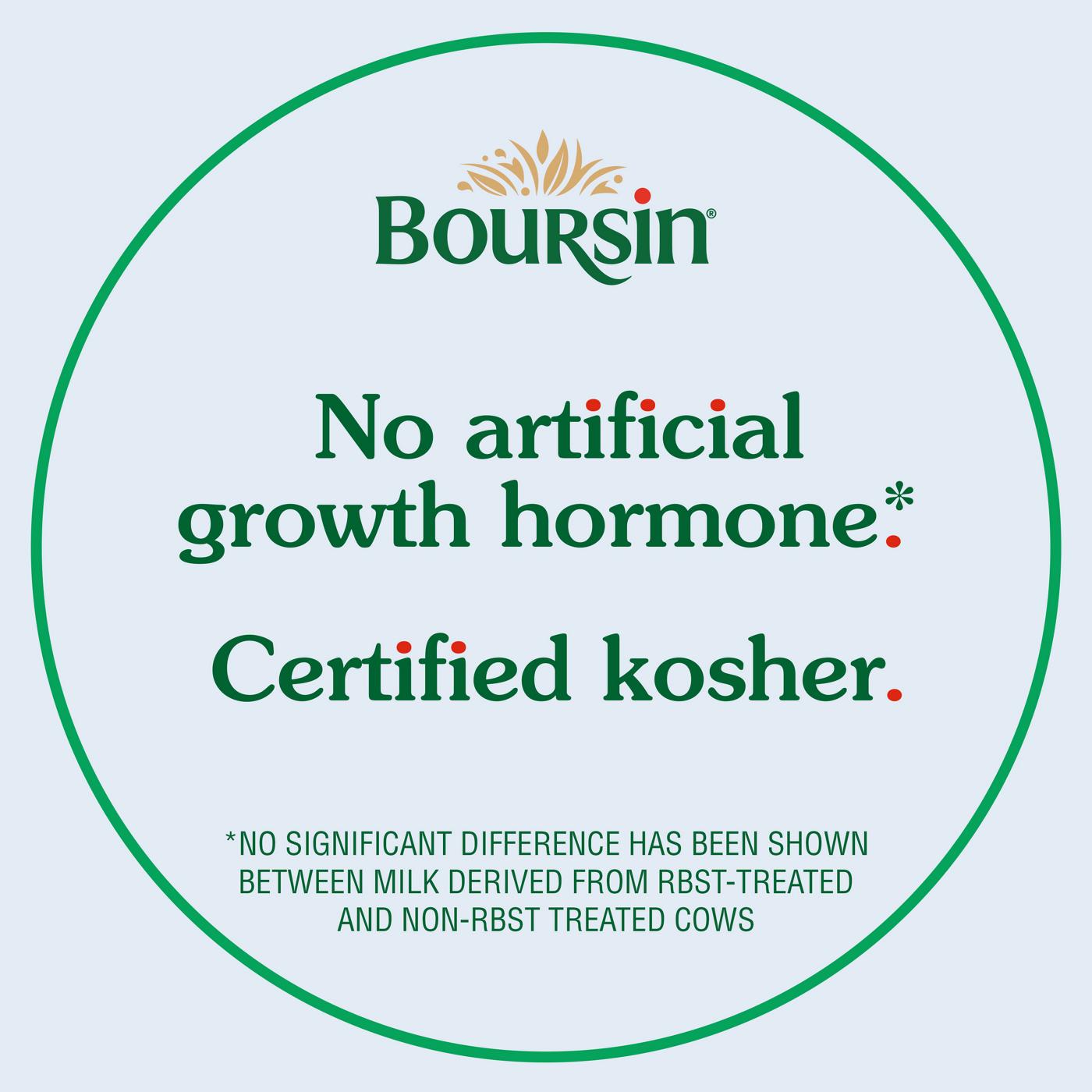 Boursin Gourmet Cheese Spread - Garlic & Fine Herbs; image 5 of 6