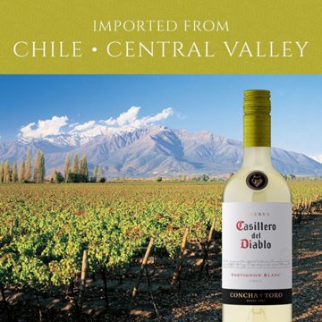 Concha Y Toro Casillero del Diablo Sauvignon Blanc, 750 mL