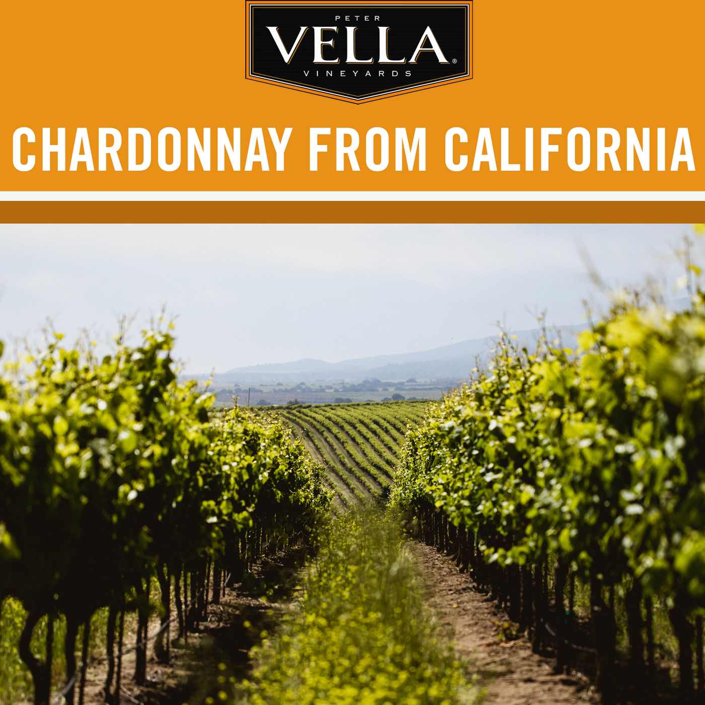 Peter Vella Chardonnay White Box Wine; image 2 of 6