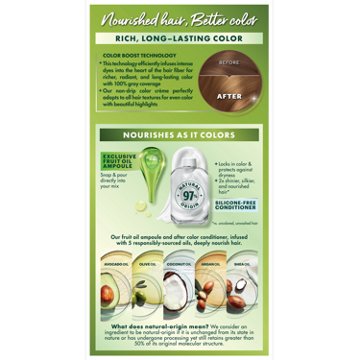 Garnier Nutrisse Nourishing Hair Color Creme - 73 Dark Golden Blonde (Honey Dip)
