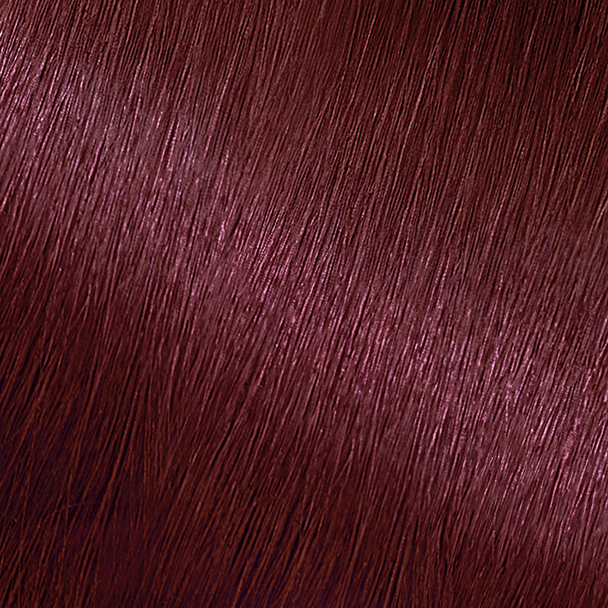 Garnier Nutrisse Nourishing Hair Color Creme 42 Deep Burgundy (Black  Cherry) - Shop Hair Color at H-E-B