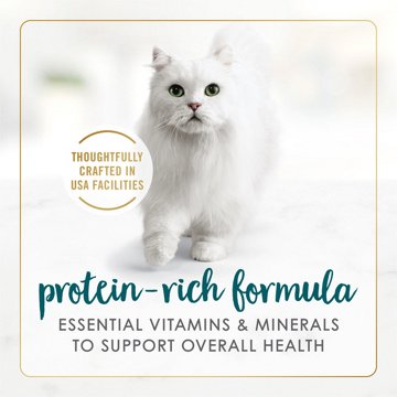 Fancy Feast Purina Grilled Wet Cat Food - Turkey Feast in Gravy