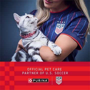 Fancy Feast Purina Grilled Wet Cat Food - Turkey Feast in Gravy