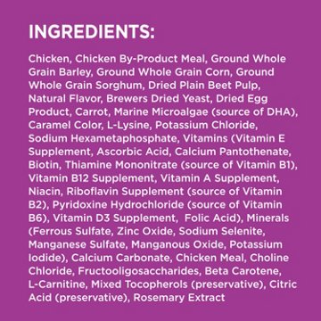IAMS Proactive Health Senior Dog Food Healthy Aging Dry Dog Food - Real Chicken