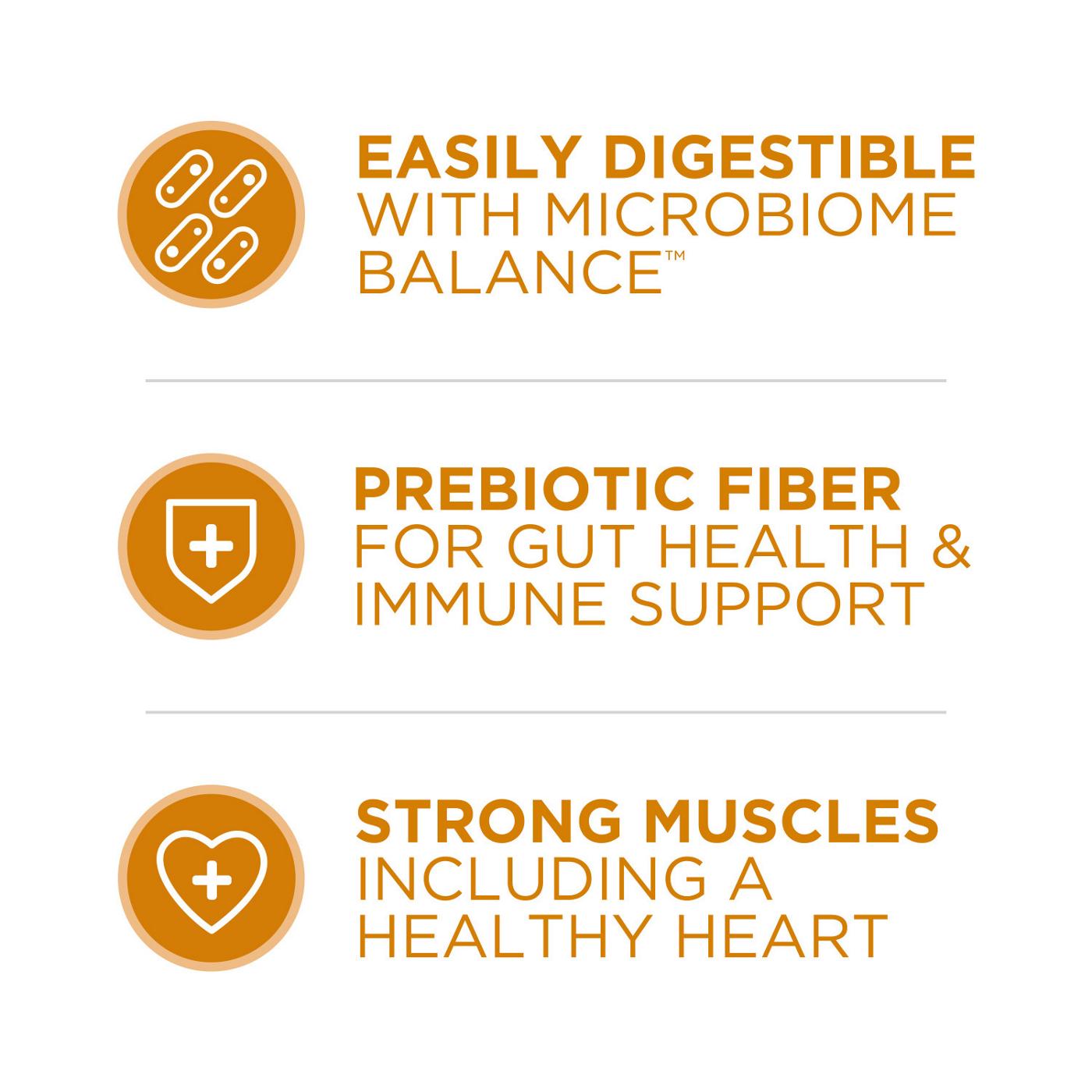 Purina ONE Natural Dry Cat Food, Tender Selects Blend With Real Chicken