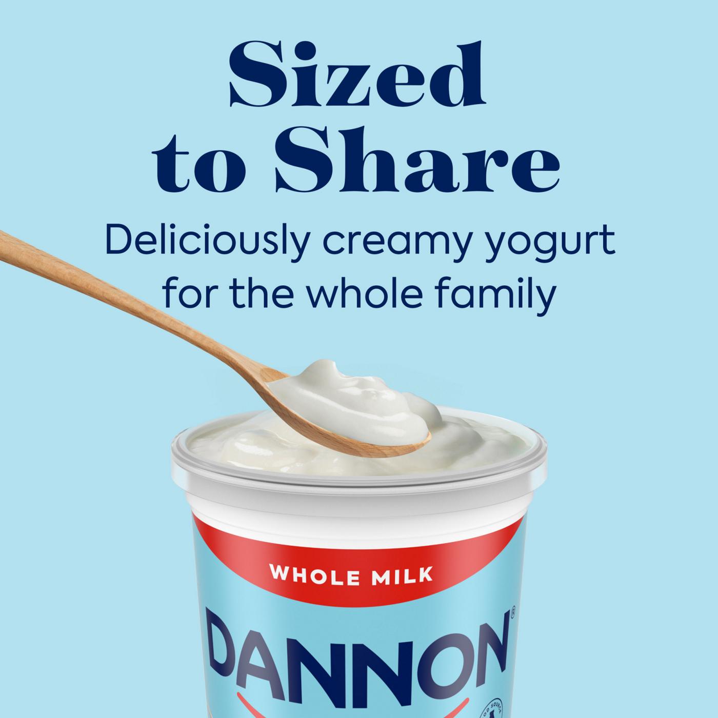 Dannon Whole Milk Plain Yogurt; image 2 of 4