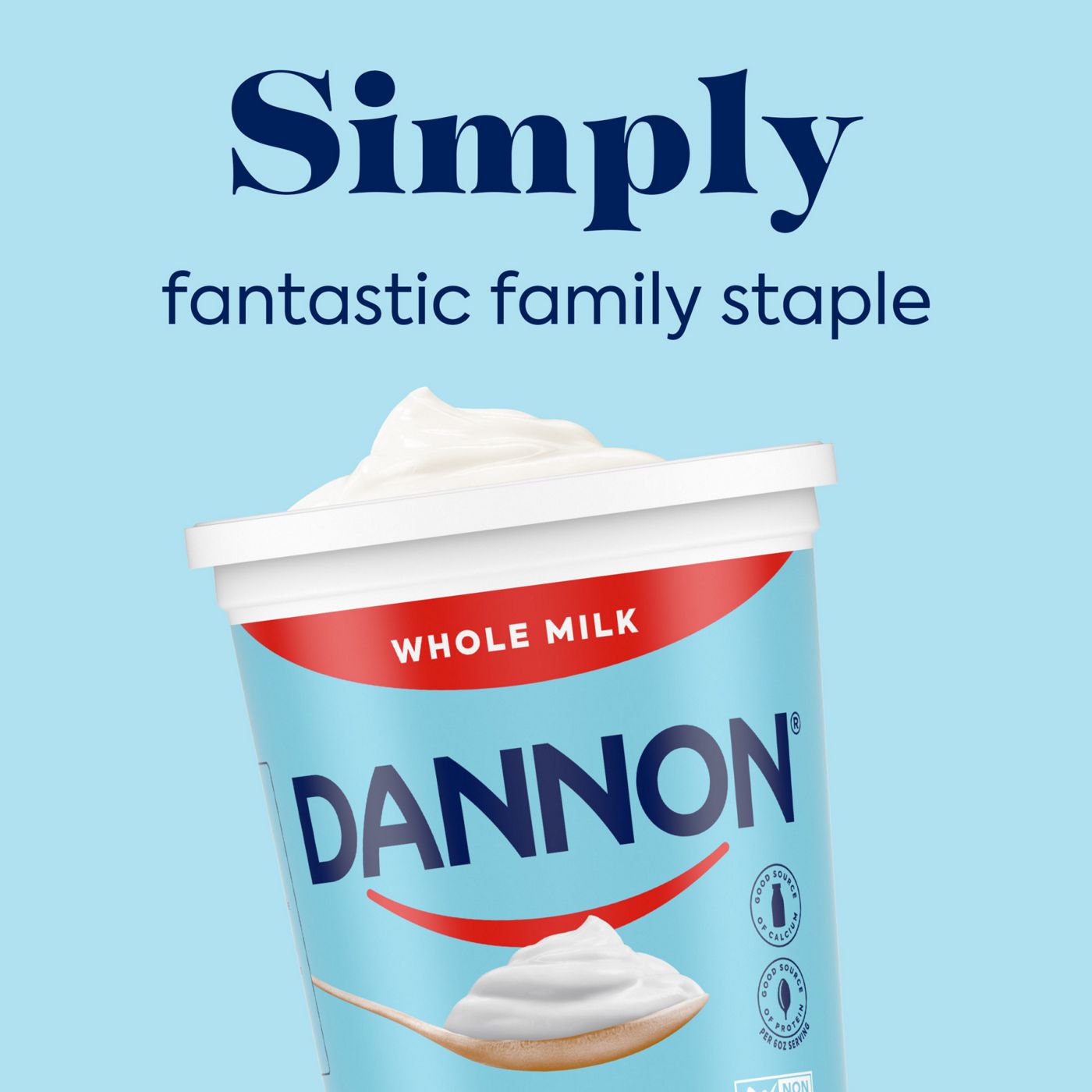 Dannon Whole Milk Plain Yogurt Shop Yogurt at HEB