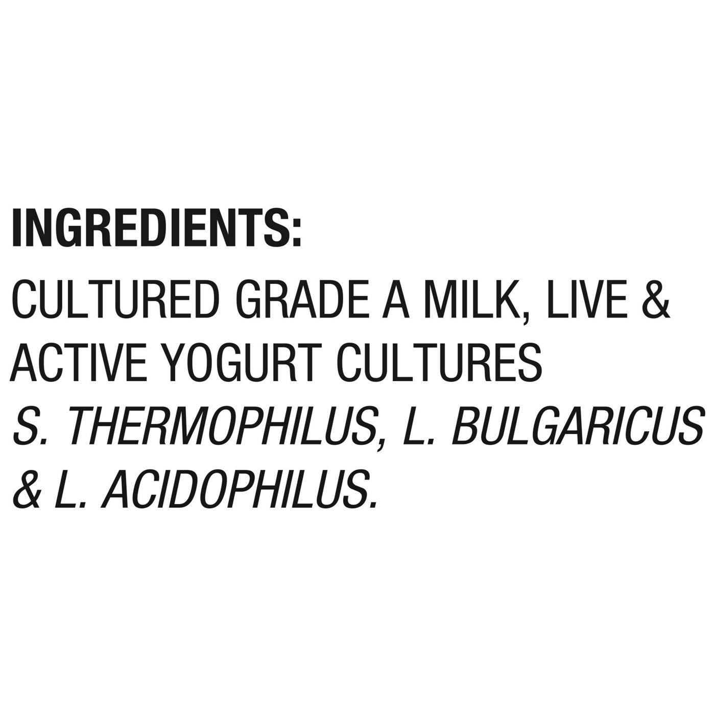 Dannon Whole Milk Plain Yogurt; image 6 of 8