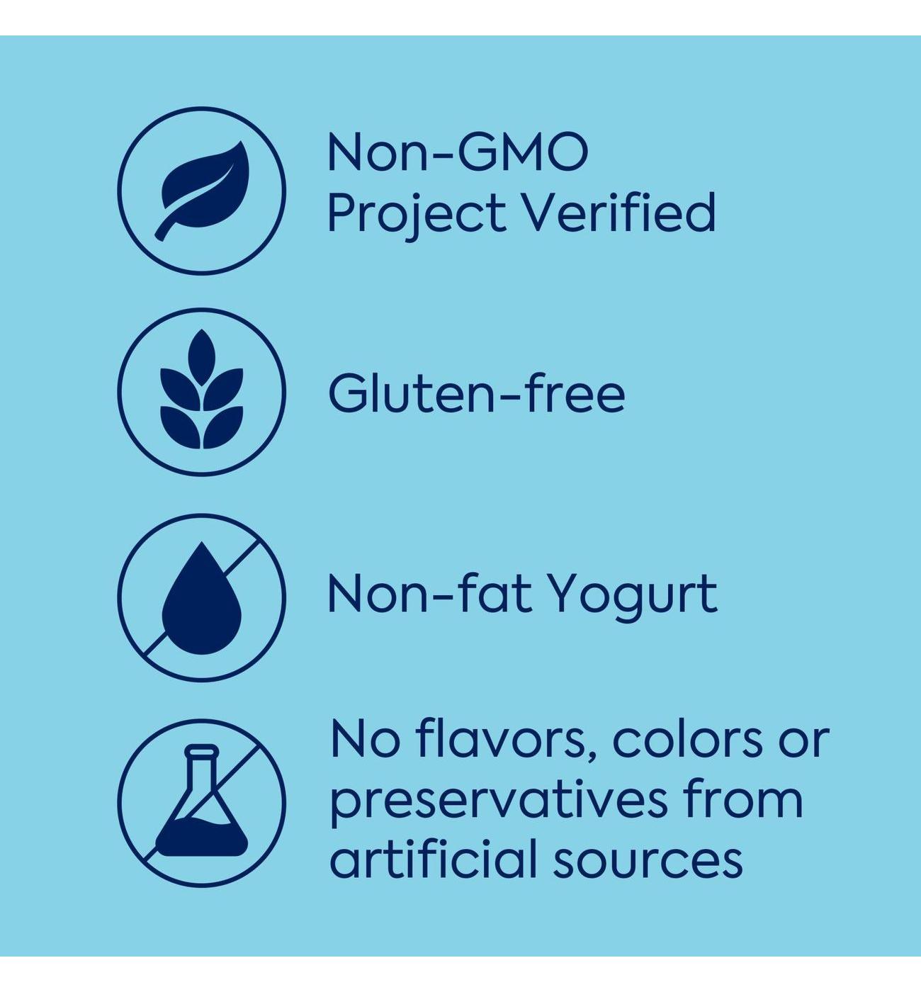 Dannon Plain Nonfat Yogurt; image 2 of 5