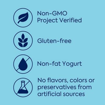 Dannon Plain Nonfat Yogurt