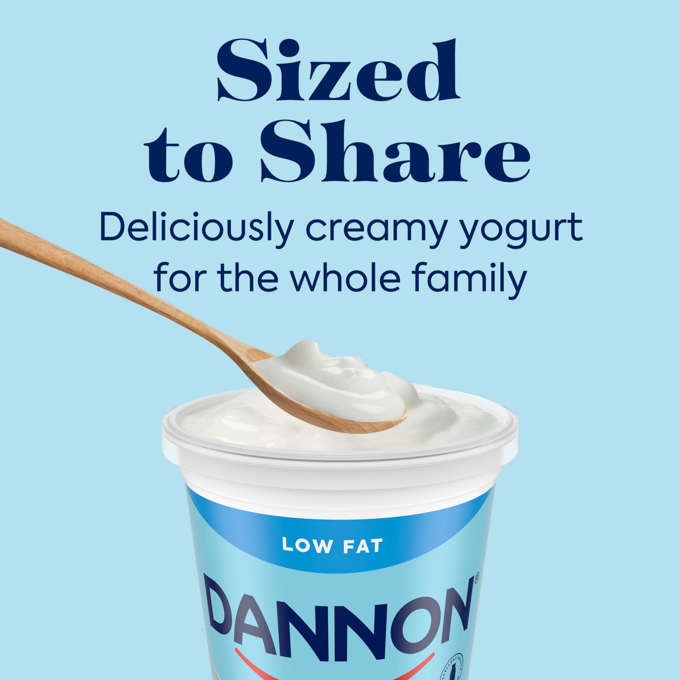 Dannon Plain Low Fat Yogurt; image 3 of 9