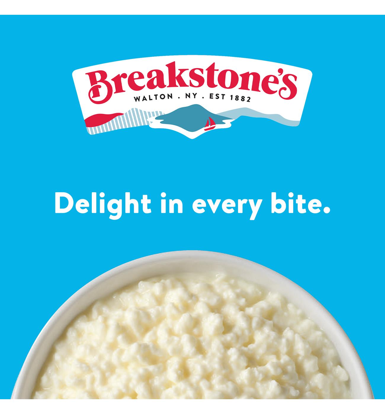 Breakstone's Small Curd 2% Milkfat Lowfat Snack Size Cottage Cheese; image 2 of 5