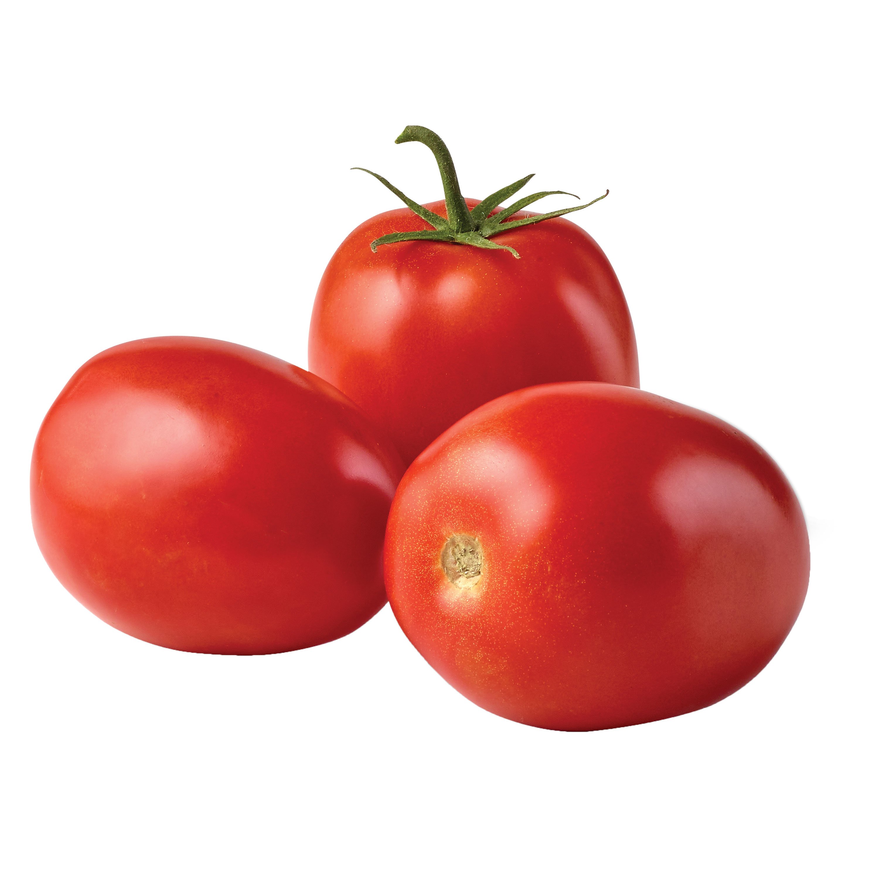 fresh red tomatoes