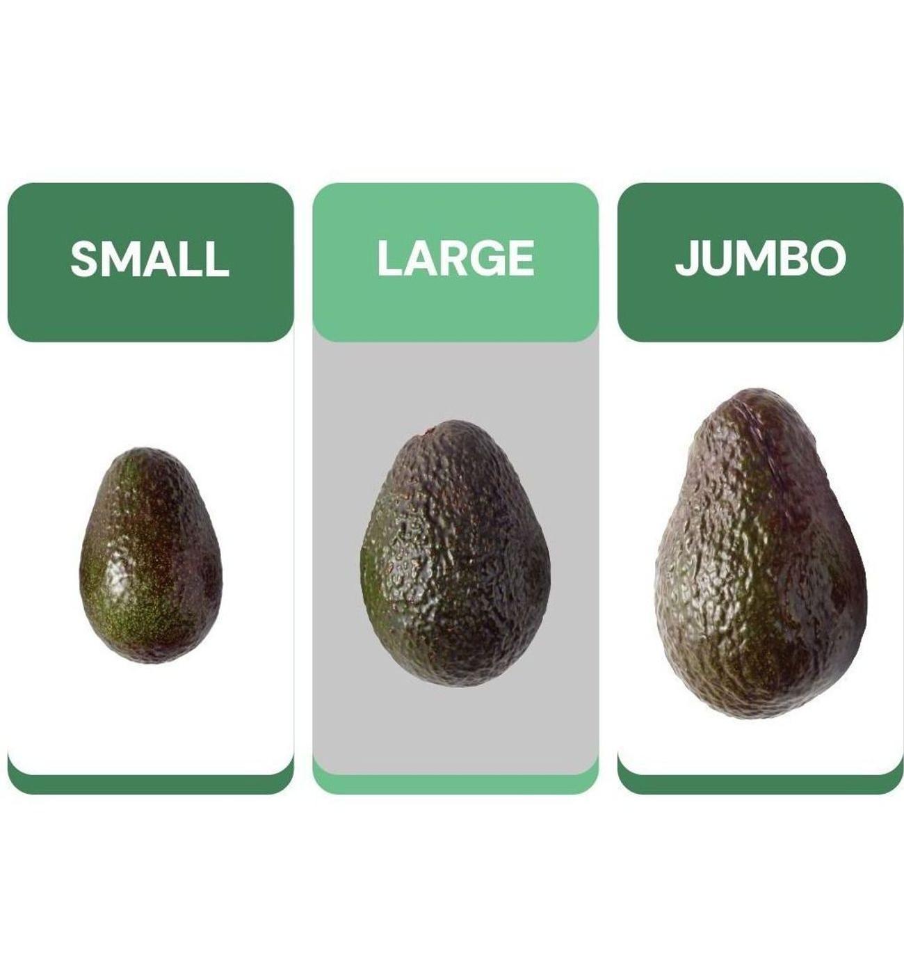 Fresh Large Hass Avocado; image 2 of 3