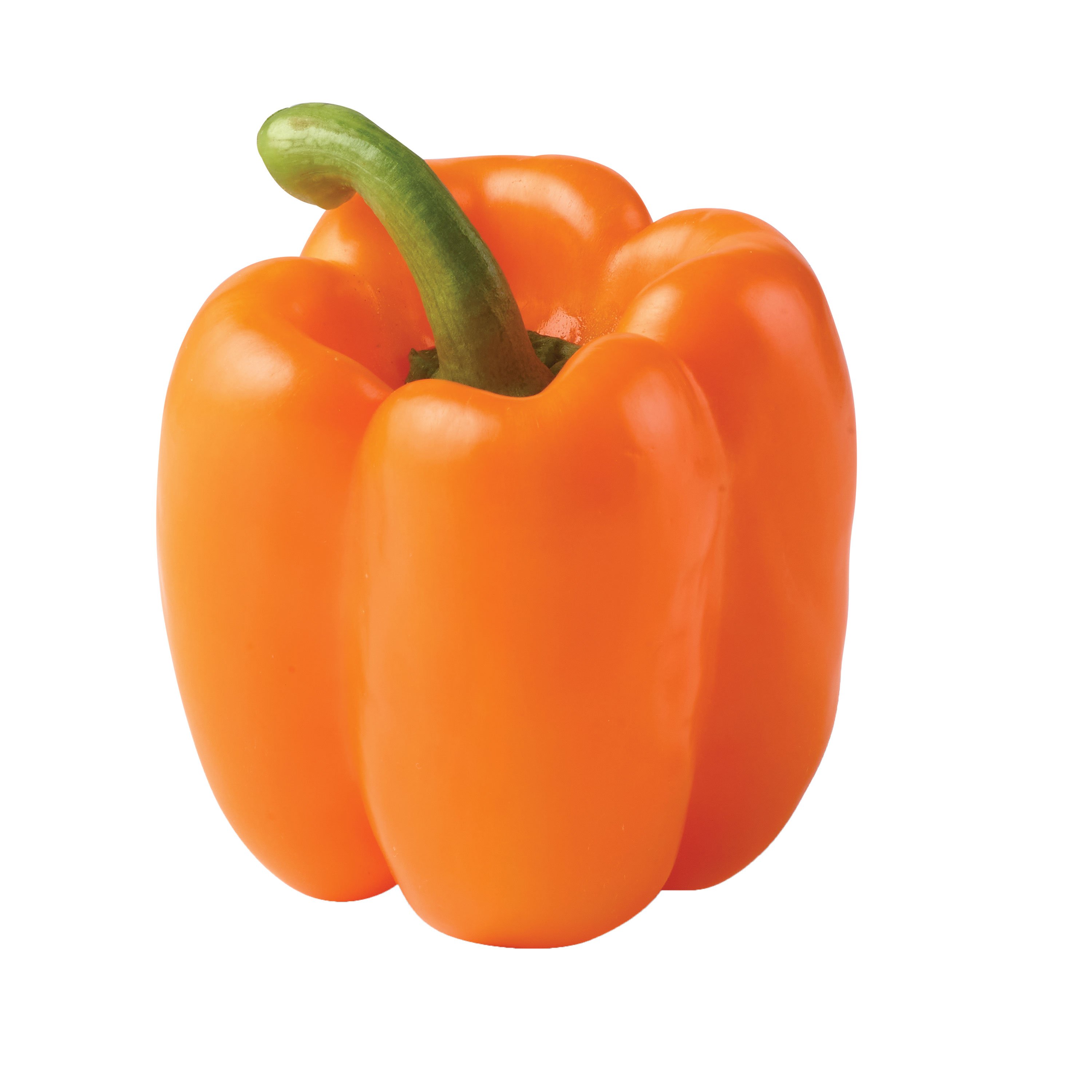 are dogs allowed bell peppers