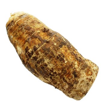 Fresh Malanga Coco Root, Avg. 2.1 lbs