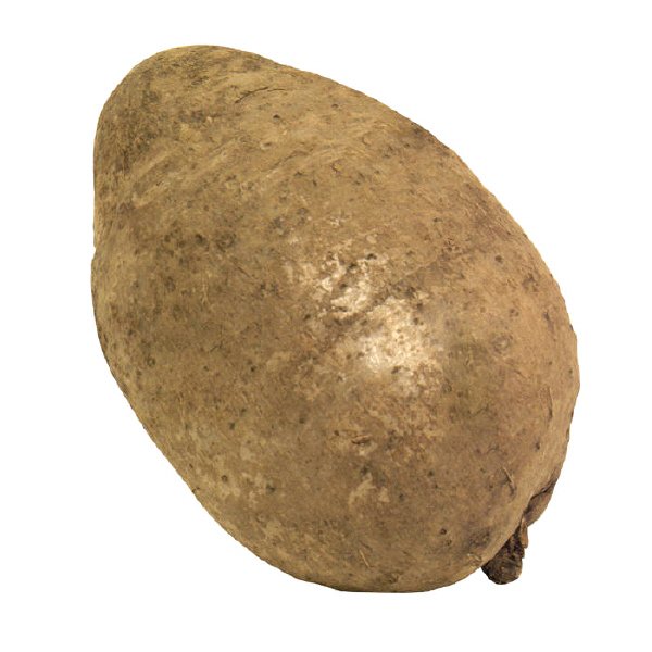 Fresh White Yam | Central Market - Really Into Food