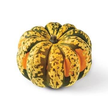 Fresh Carnival Squash, Avg. 1.5 lbs