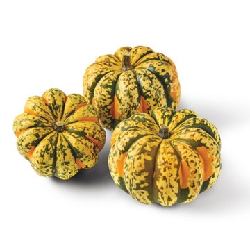 Fresh Carnival Squash, Avg. 1.5 lbs