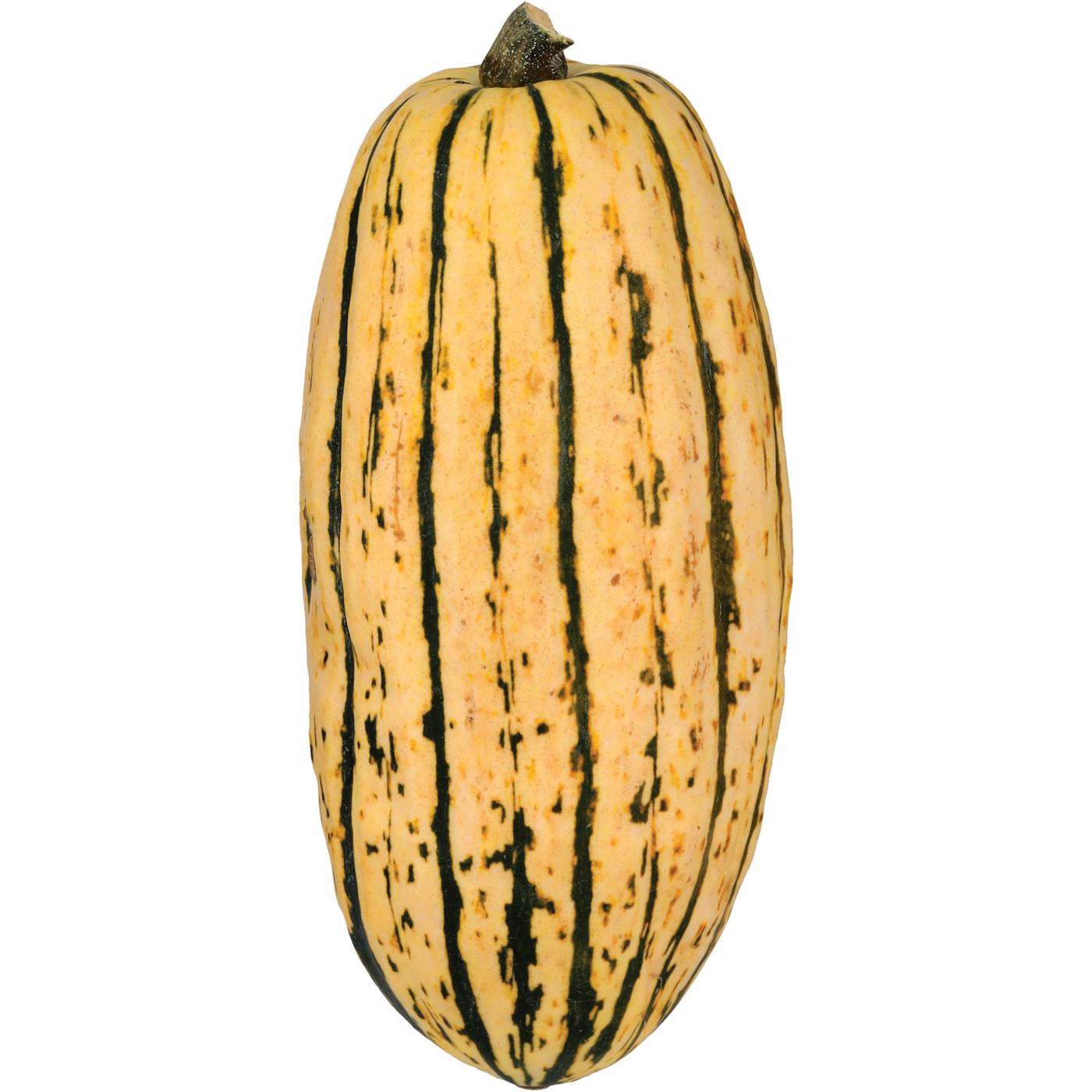 Fresh Delicata Squash Shop Squash & pumpkins at HEB