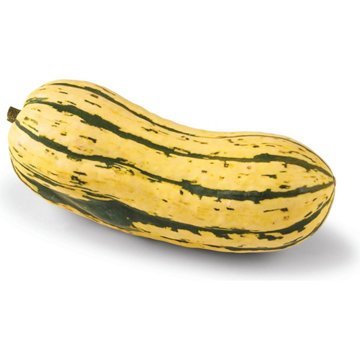 Fresh Delicata Squash, Avg. 1.25 lbs