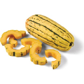 Fresh Delicata Squash, Avg. 1.25 lbs