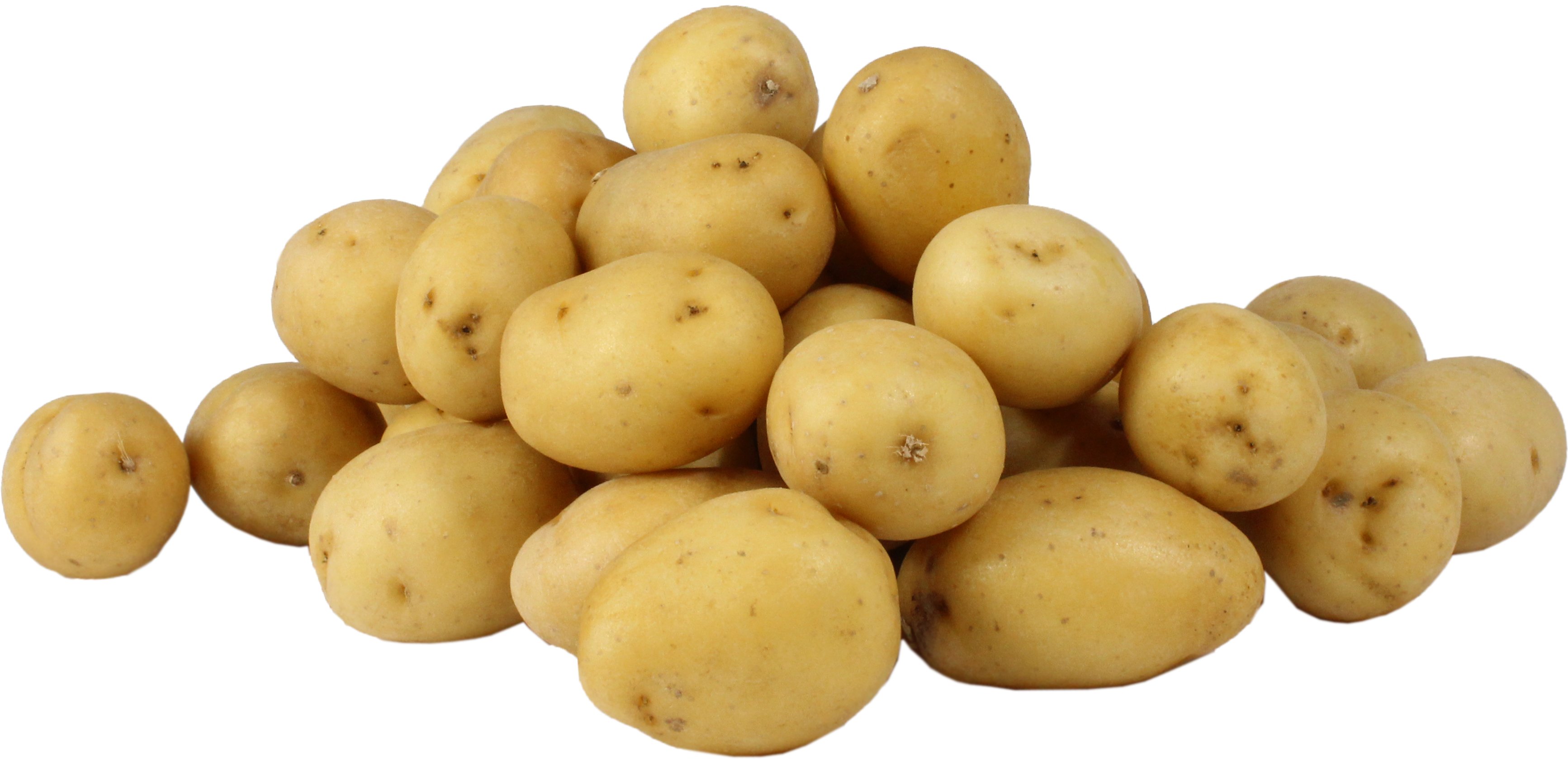 German Butterball Potatoes Shop Potatoes & carrots at HEB