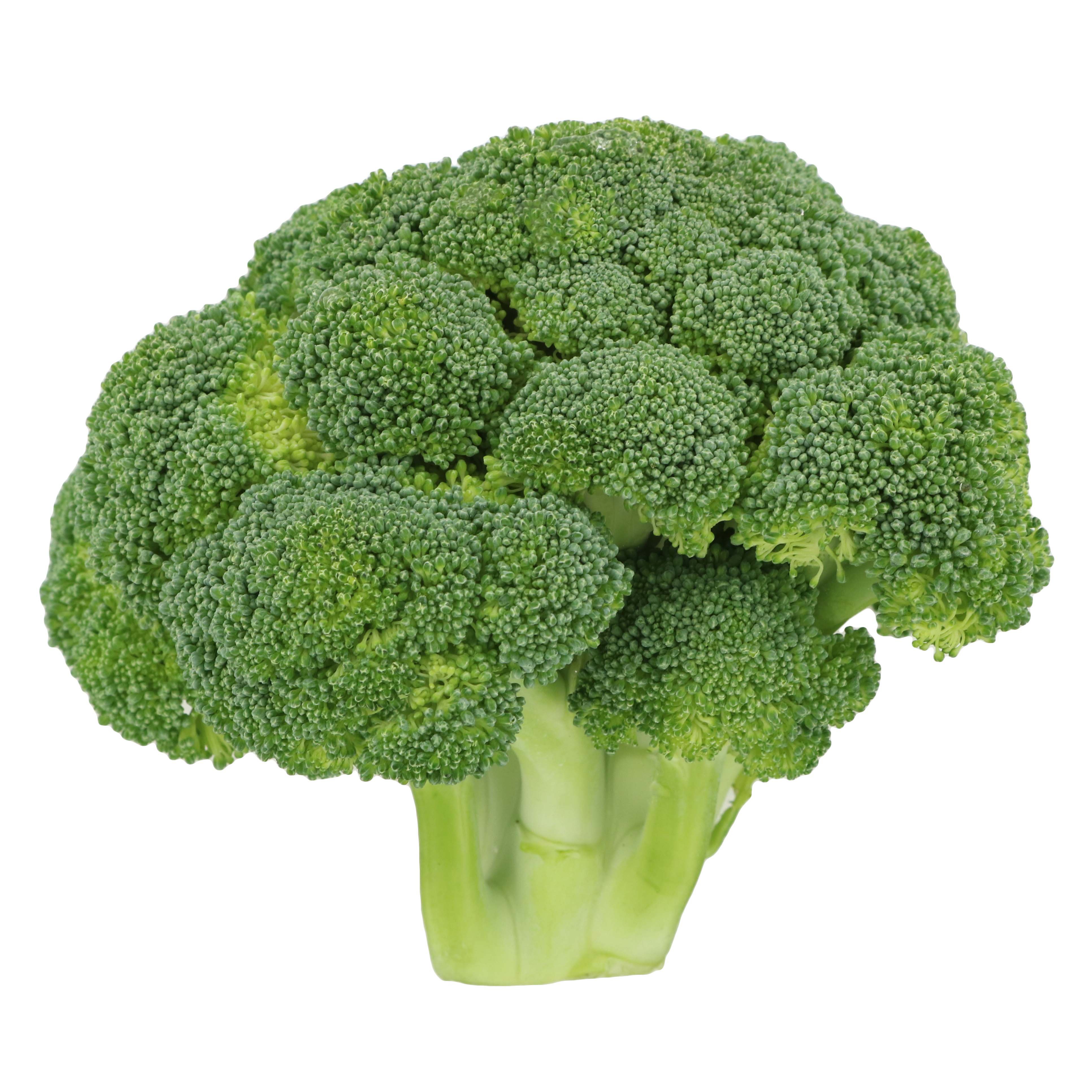 List 105+ Pictures Broccoli Is A Hybrid Of Cauliflower And Cabbage Superb