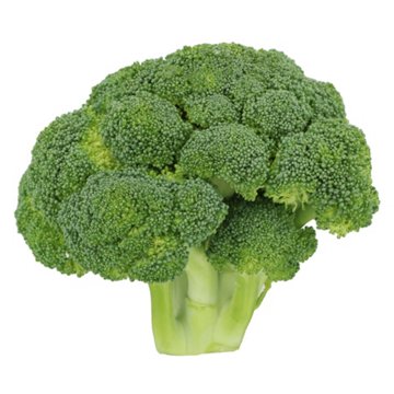 Fresh Broccoli Crowns