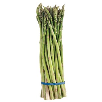 Fresh Asparagus Bunch, Avg. 1.1 lbs